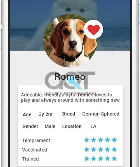 Go Shelter Pet App Design